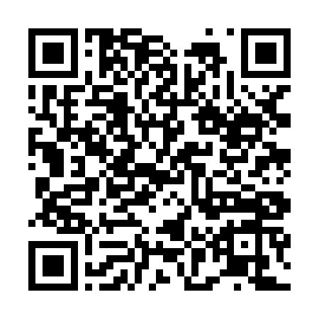 QR reporte